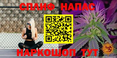 мяу мяу мука Берёзовский